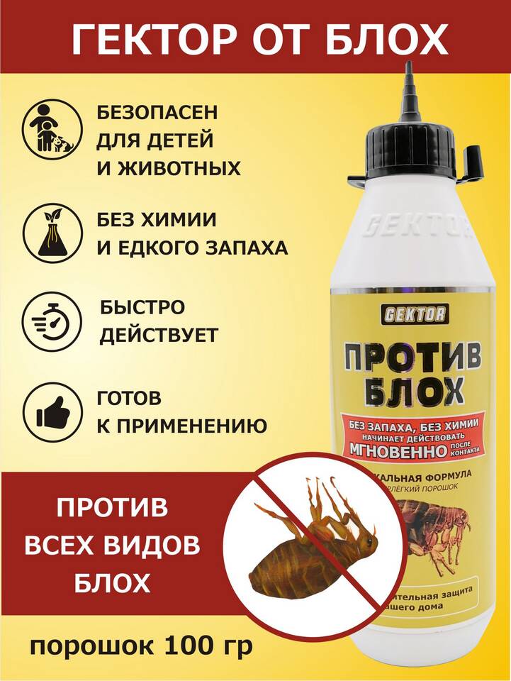 Чем можно вывести блох в доме