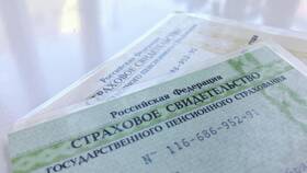Что будет, если мошенники узнают ваш СНИЛС в Зара Хоум