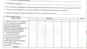 Что обозначает справка 2-НДФЛ в Зара Хоум