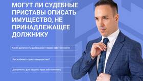 Что включает арест имущества в Зара Хоум