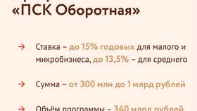 Как называется государственная поддержка в Зара Хоум