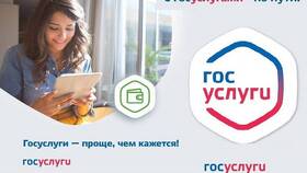 Как оформить путинские выплаты через Госуслуги в Зара Хоум