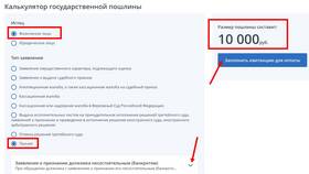 Как оплатить пошлину по решению суда в Зара Хоум