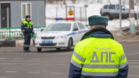 Как оплатить штраф ГИБДД через Госуслуги: пошаговая инструкция в Зара Хоум