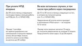 Как платит налоги ИП без работников в Зара Хоум