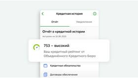 Как получить кредит без кредитной истории в Зара Хоум