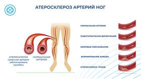 Как получить результаты гистологического исследования через Госуслуги в Зара Хоум