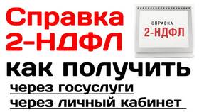 Как получить справку 2-НДФЛ через Госуслуги в Зара Хоум
