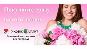 Как пополнить Яндекс Сплит без комиссии в Зара Хоум