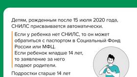 Как работает СНИЛС в России в Зара Хоум
