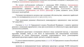 Как составить ликвидационный баланс при ликвидации ООО в Зара Хоум