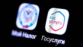 Как вернуть подоходный налог через Госуслуги в Зара Хоум