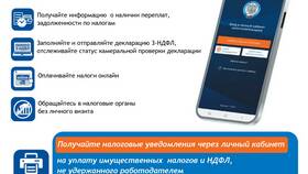 Как войти в личный кабинет ФНС в Зара Хоум