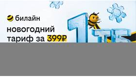 Не хочу менять тариф Билайн: что делать в Зара Хоум