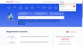 Почему не грузится сайт Госуслуги в Зара Хоум