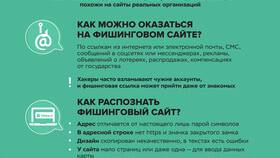 Почему возникает ошибка в паспортных данных на Ozon в Зара Хоум