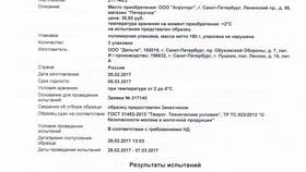 Поддельная справка 2-НДФЛ: последствия в Зара Хоум