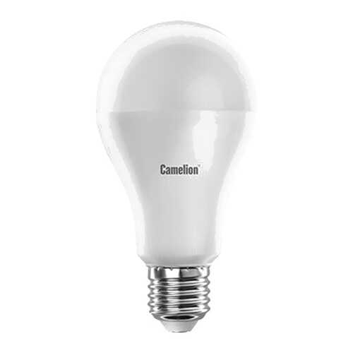 Светодиодная лампа Camelion BasicPower LED17-A65/845/E27 12309 Белый в Зара Хоум